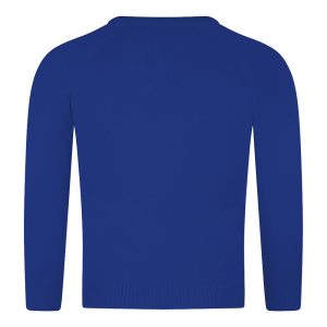 Rear view of a royal blue knitted jumper.