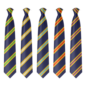 Digital mockups of all five Claverham Community College house ties.