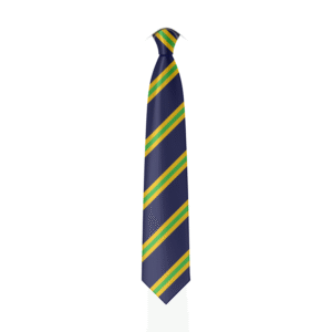 Digital mockup of the Telham house tie for Claverham Community College.
