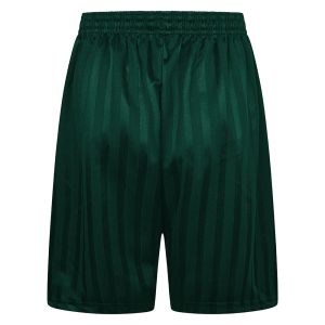 Rear view of bottle green shadow stripe PE shorts with an elasticated waist
