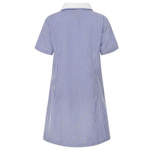 Rear view of a navy blue gingham summer dress.