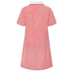 Rear view of a red gingham summer dress.
