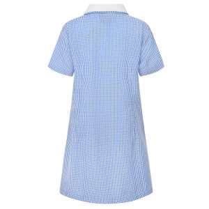 Rear view of a sky blue gingham summer dress.