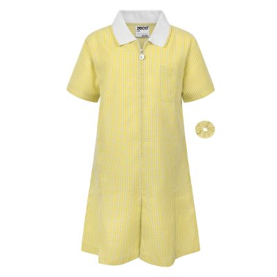 Gingham Summer Dresses