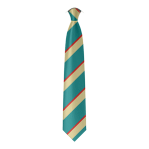 A digital mockup of the Rye College tie. A teal tie with asymetrical stripes of beige and red.