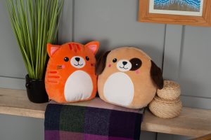 Frontal view of the cat Squidgy and dog Squidgy on a wooden shelf naext to a house plant and baskets