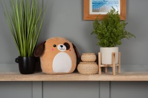 Frontal view of the personalised dog squidgy on a wooden shelf amongst house plants and baskets