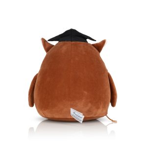Rear view of the personalised owl Squidgy against a white background