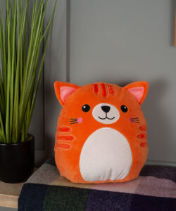Frontal view fo the orange cat squidgy placed on top of a blanket on a shelf. Next to the cat is a tall house plant in a black pot.