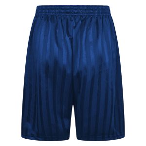 Rear view of royal blue shadow stripe PE shorts with an elasticated waist
