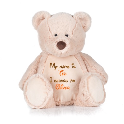 Frontal view of the large personalised teddy with text embroidered on its belly that reads "My name is Ted I belong to Oliver". The text is in brown and orange.