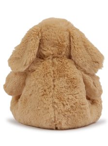Rear view of the light brown personalised "Dash" dog teddy