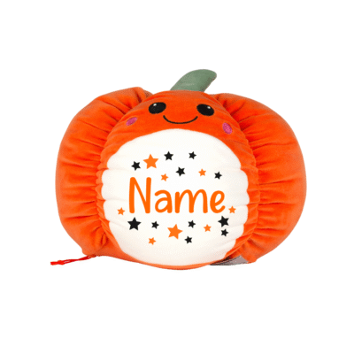 Frontal view of the personalised pumpkin Squidgy.