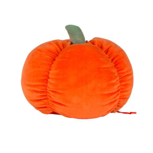 Rear view of the personalised pumpkin Squidgy.