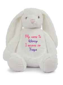 Frontal view of the large personalised teddy with text embroidered on its belly that reads "My name is Wendy I belong to Freya". The text is in hot pink and purple.