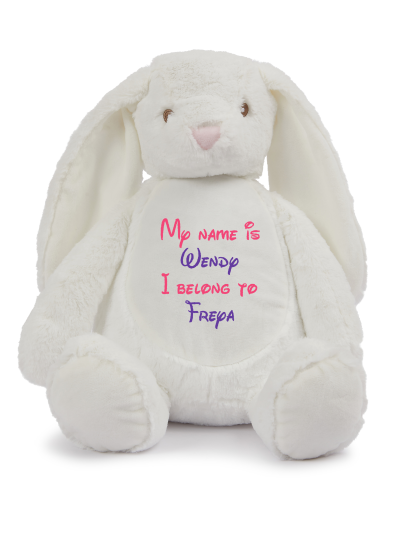 Frontal view of the large personalised teddy with text embroidered on its belly that reads "My name is Wendy I belong to Freya". The text is in hot pink and purple.