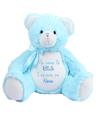 Frontal view of the large personalised teddy with text embroidered on its belly that reads "My name is Billie I belong to Noah". The text is in baby blue and mid blue.