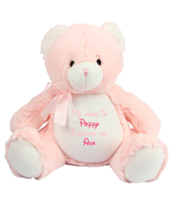 Frontal view of the large personalised teddy with text embroidered on its belly that reads "My name is Poppy I belong to Ava". The text is in baby pink and hot pink.