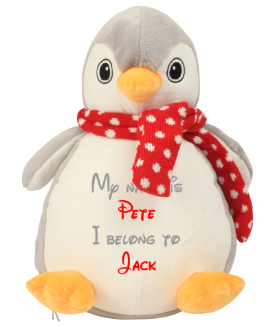 Frontal view of the large personalised teddy with text embroidered on its belly that reads "My name is Pete I belong to Jack". The text is in light grey and red.