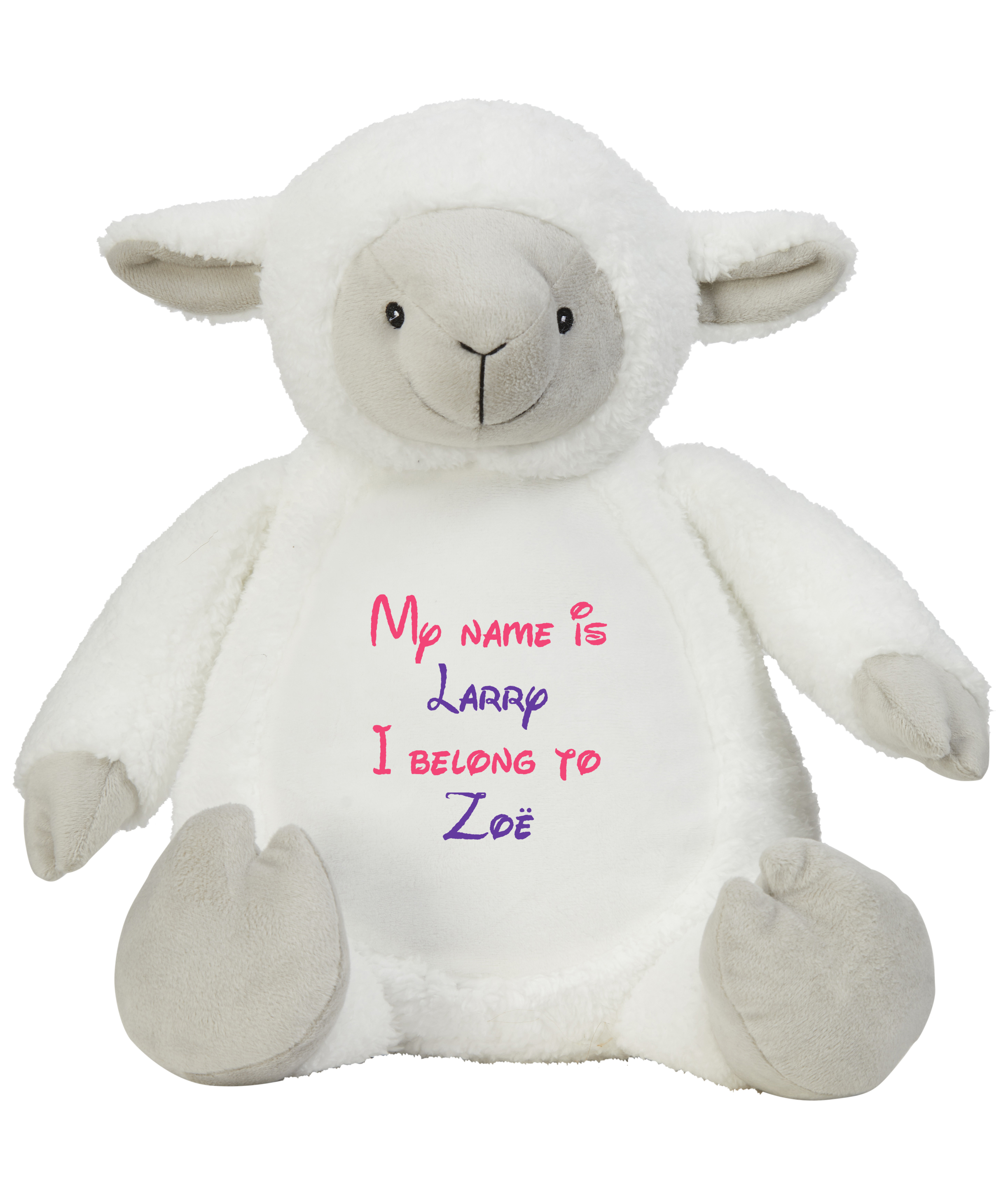 Frontal view of the large personalised teddy with text embroidered on its belly that reads "My name is Larry I belong to Zoë". The text is in hot pink and purple.