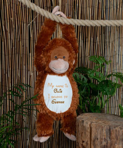 The large personalised orangutan teddy hanging from a rope by its hands connected together with hook and loop fastening. Behind the teddy is a bamboo background with tropical indoor plants.