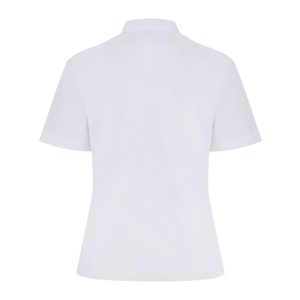 Rear view of a white button-up collard blouse with short sleeves.