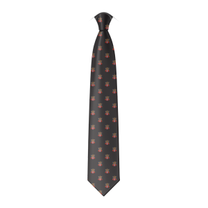 A digitally created representation of the prefect tie for St Richard's Catholic College.