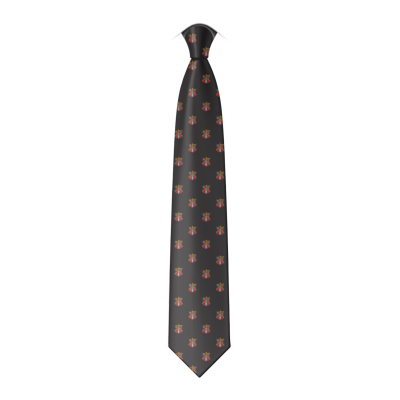 A digitally created representation of the prefect tie for St Richard's Catholic College.