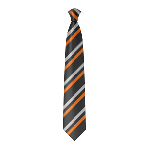 A digitally created representation of the standard tie for St Richard's Catholic College.