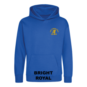 Frontal view of the bright royal blue colour 2026 leavers' hoodie for Little Common School. The school's emblem is embroidered on the left breast.
