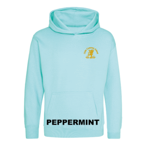 Frontal view of the peppermint blue colour 2026 leavers' hoodie for Little Common School. The school's emblem is embroidered on the left breast.