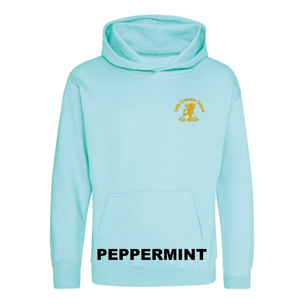 Frontal view of the peppermint blue colour 2026 leavers' hoodie for Little Common School. The school's emblem is embroidered on the left breast.