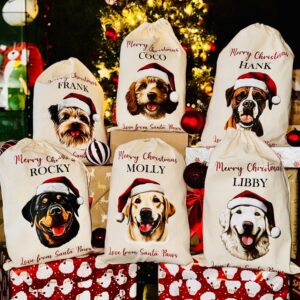 Frontal view of six personalised Christmas dog sacks stacked on wrapped present boxes.