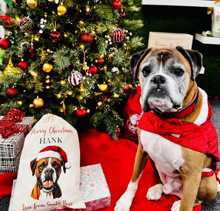 Personalised Pet Gifts