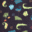 Various colours of lizards and leaves against a black background.